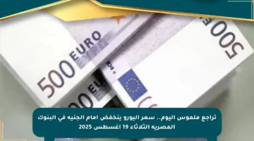 تراجع ملموس اليوم.. سعر اليورو ينخفض أمام الجنيه في البنوك المصرية الثلاثاء 19 أغسطس 2025